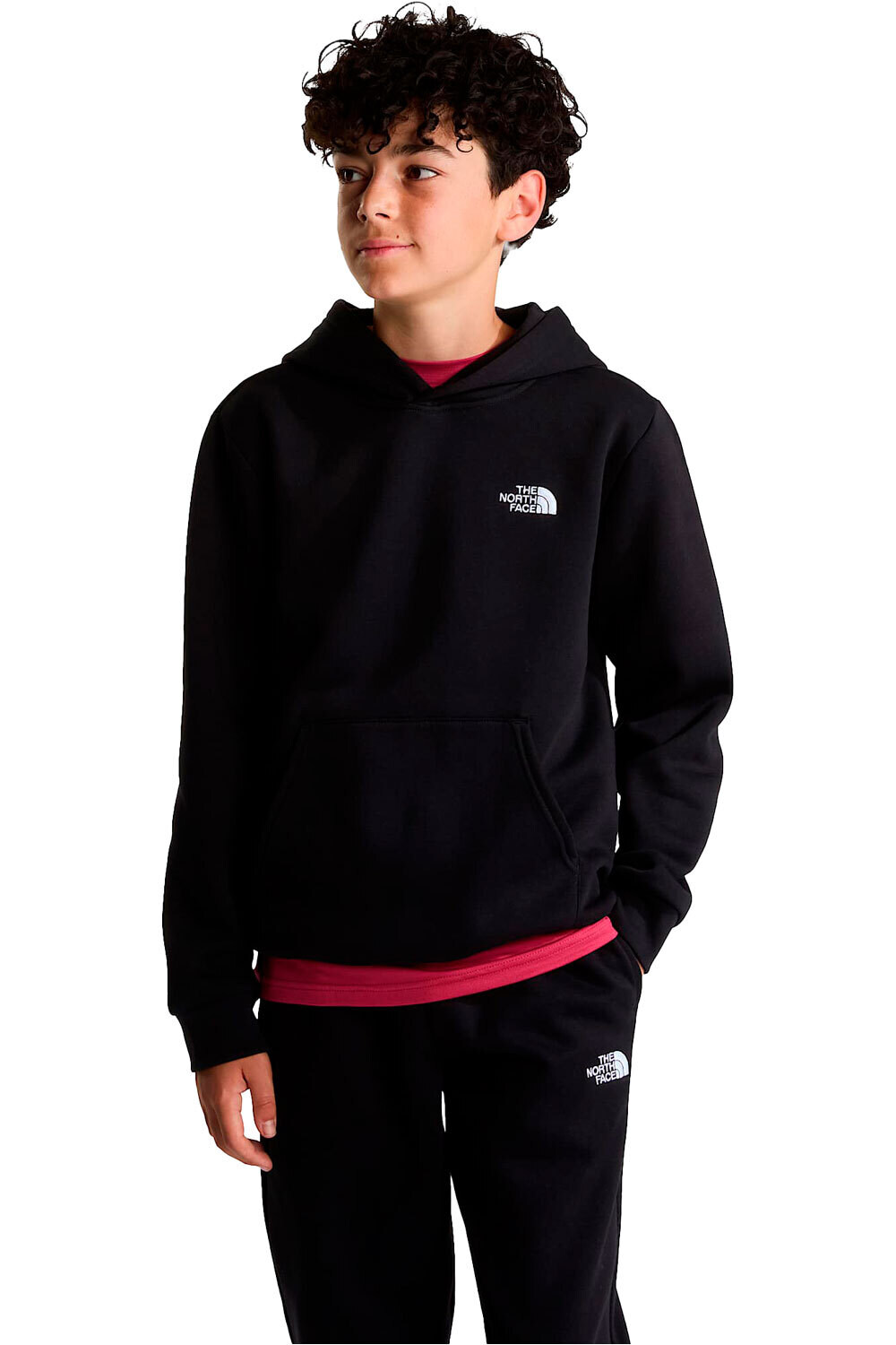 The North Face sudadera niño TEEN EVOLUTION SIMPLE DOME PULLOVER HOOD vista frontal