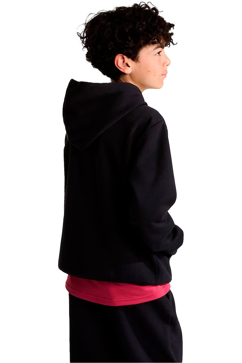 The North Face sudadera niño TEEN EVOLUTION SIMPLE DOME PULLOVER HOOD vista trasera