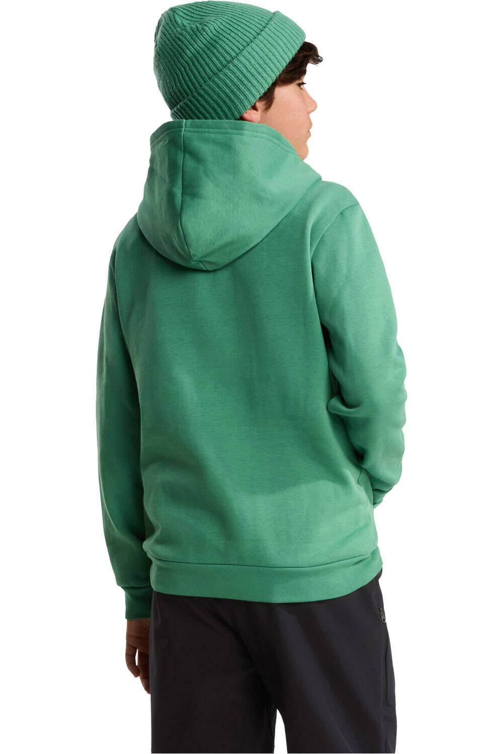 The North Face sudadera niño TEEN EVOLUTION SIMPLE DOME PULLOVER HOOD vista trasera