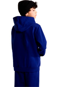 The North Face sudadera niño TEEN EVOLUTION SIMPLE DOME PULLOVER HOOD vista trasera
