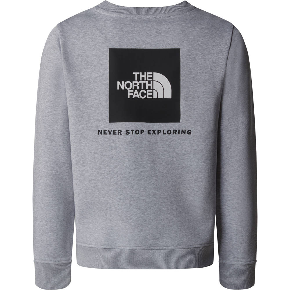 The North Face sudadera niño TEEN REDBOX REGULAR CREW vista detalle
