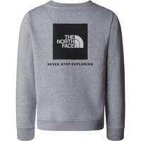 The North Face sudadera niño TEEN REDBOX REGULAR CREW vista detalle