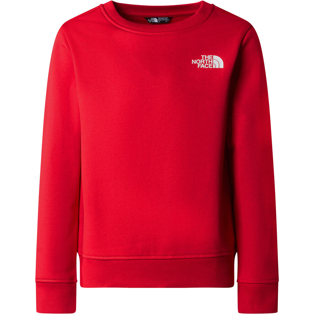 The North Face sudadera niño TEEN REDBOX REGULAR CREW vista frontal