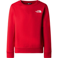 The North Face sudadera niño TEEN REDBOX REGULAR CREW vista frontal