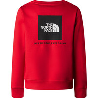 The North Face sudadera niño TEEN REDBOX REGULAR CREW vista trasera