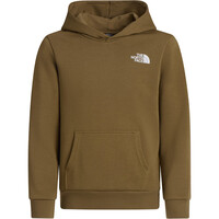 The North Face sudadera niño TEEN SIMPLE DOME LIGHT REG HOODIE vista detalle