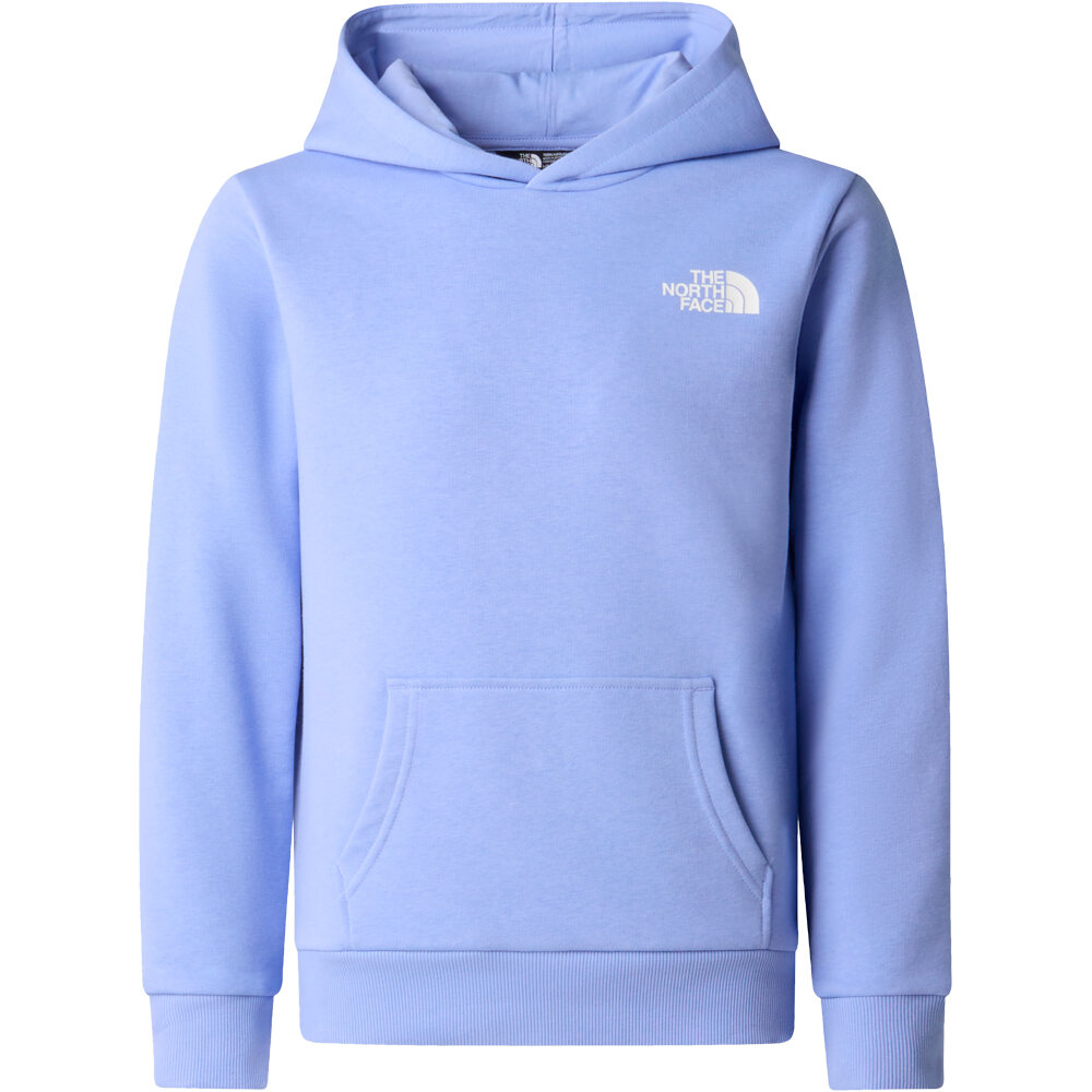 The North Face sudadera niño TEEN SIMPLE DOME LIGHT REG HOODIE vista detalle