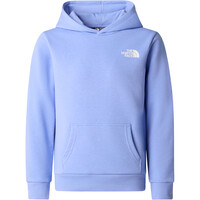 The North Face sudadera niño TEEN SIMPLE DOME LIGHT REG HOODIE vista detalle