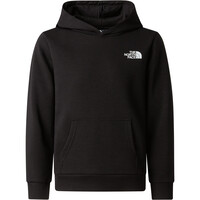 The North Face sudadera niño TEEN SIMPLE DOME LIGHT REG HOODIE vista detalle