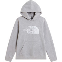 TEEN TNF ESSENTIAL DREW PEAK HOODIE