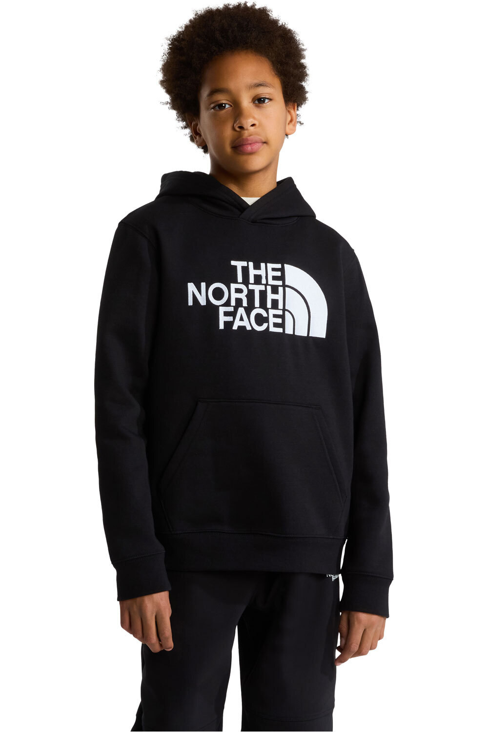 The North Face sudadera niño TEEN TNF ESSENTIAL DREW PEAK HOODIE vista frontal