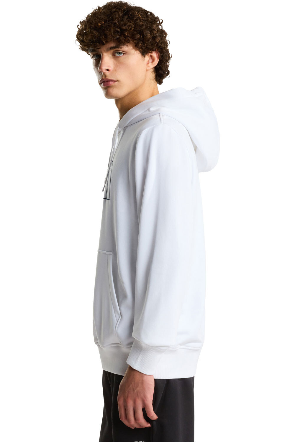 The North Face Sudaderas Montaña Hombre M DREW PEAK LIGHT REGULAR HOODIE vista detalle