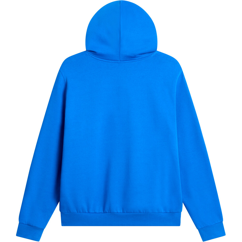 The North Face Sudaderas Montaña Hombre M EVOLUTION SIMPLE DOME REGULAR HOODIE 03