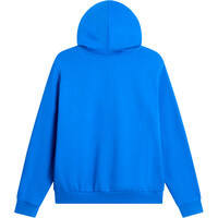 The North Face Sudaderas Montaña Hombre M EVOLUTION SIMPLE DOME REGULAR HOODIE 03