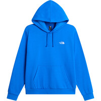 The North Face Sudaderas Montaña Hombre M EVOLUTION SIMPLE DOME REGULAR HOODIE vista detalle