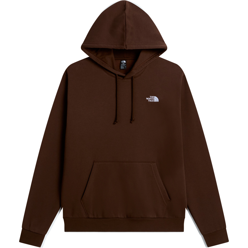 The North Face Sudaderas Montaña Hombre M EVOLUTION SIMPLE DOME REGULAR HOODIE vista detalle