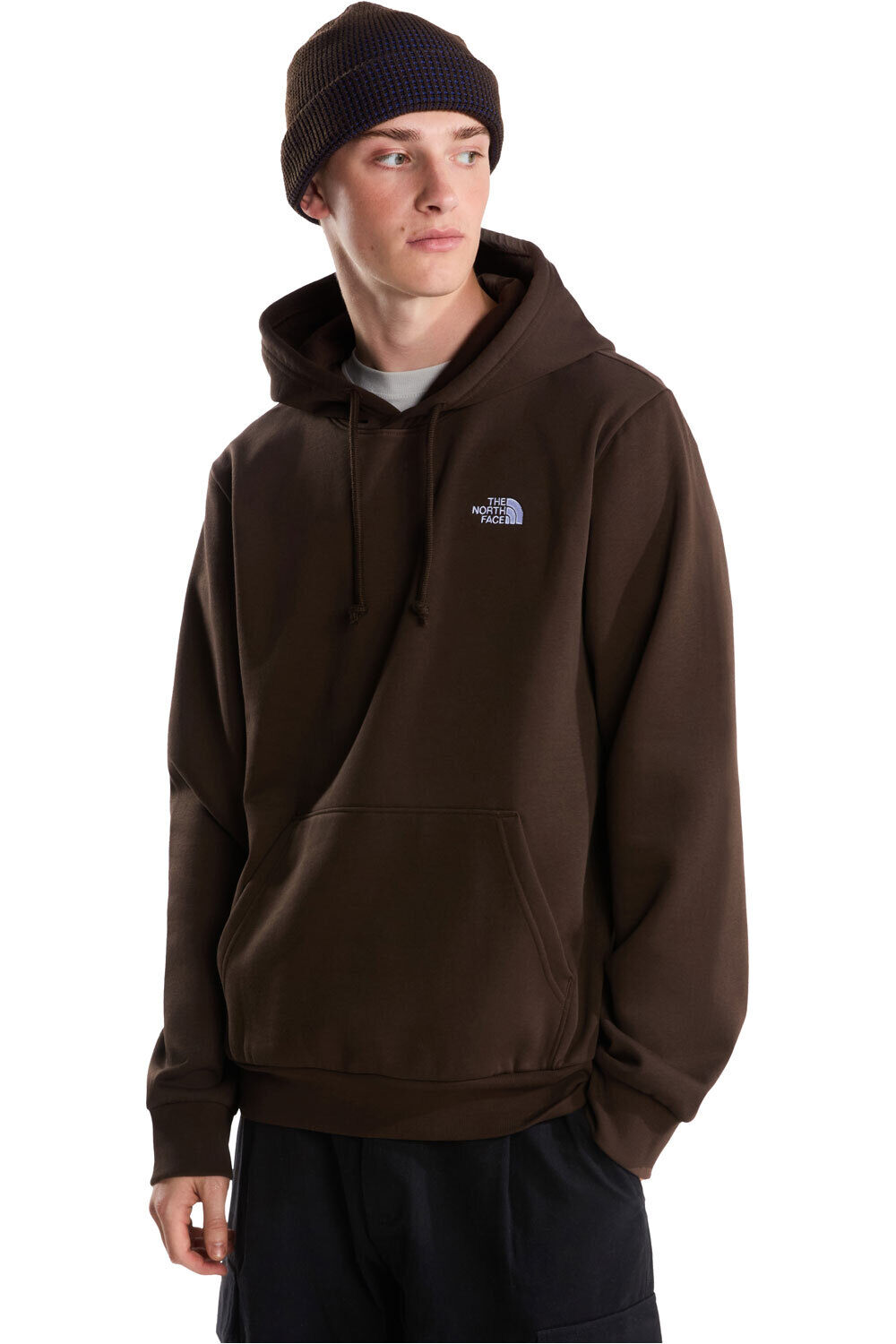 The North Face Sudaderas Montaña Hombre M EVOLUTION SIMPLE DOME REGULAR HOODIE vista frontal