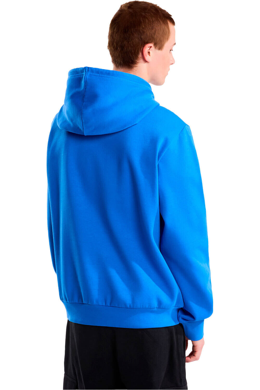 The North Face Sudaderas Montaña Hombre M EVOLUTION SIMPLE DOME REGULAR HOODIE vista trasera