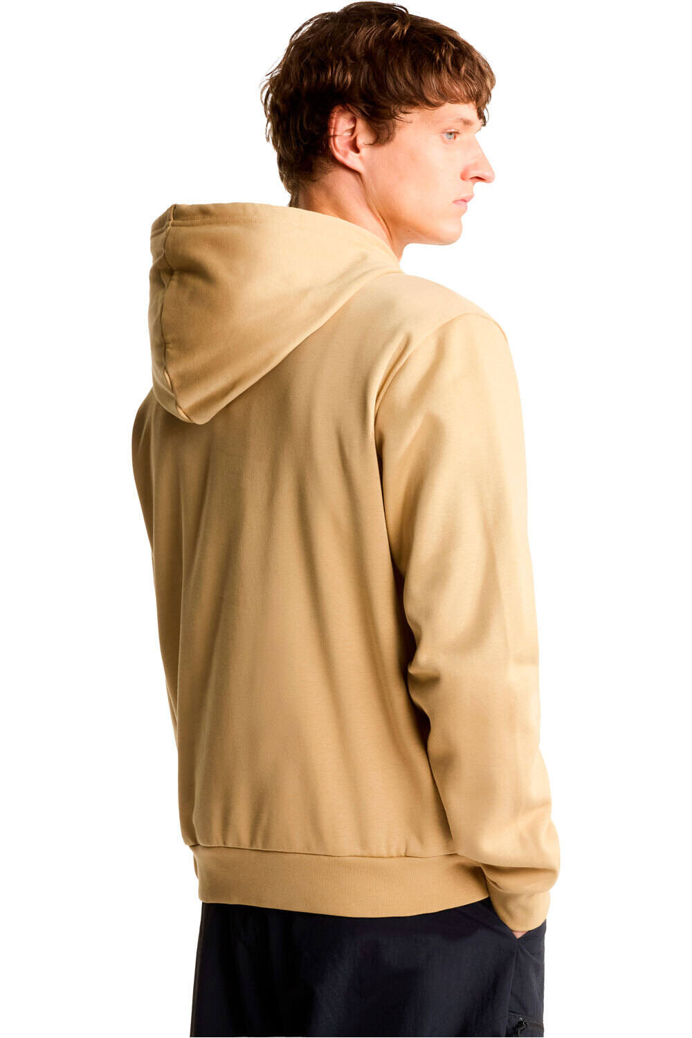 The North Face Sudaderas Montaña Hombre M EVOLUTION SIMPLE DOME REGULAR HOODIE vista trasera