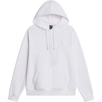 M TNF ESSENTIAL DREW PEAK REGULAR HOODIE