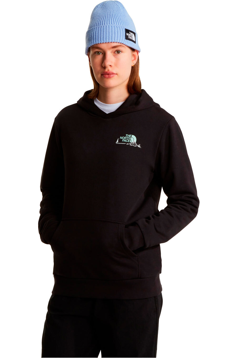 The North Face Sudaderas Montaña Mujer W MONTE REGULAR HOODIE-GRAPHIC vista frontal