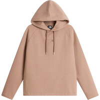 The North Face Sudaderas Montaña Mujer W PINTADO HOODIE vista detalle