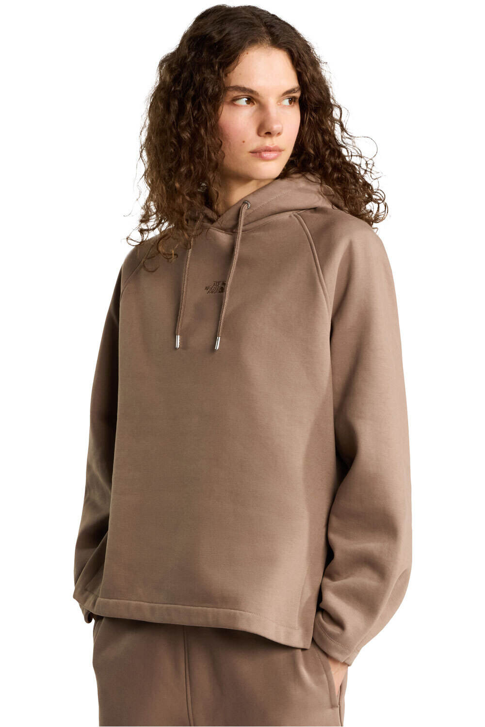 The North Face Sudaderas Montaña Mujer W PINTADO HOODIE vista frontal