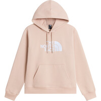 W TNF ESSENTIAL DREW PEAK REGULAR HOODIE