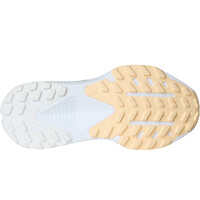 The North Face zapatillas trail mujer W ALTAMESA 500 vista trasera