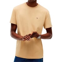 TJM REG SFLAG SS TEE EXT