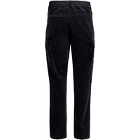 Trango pantalón montaña hombre PANT. LARGO LINSOLES vista trasera