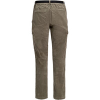 Trango pantalón montaña hombre PANT. LARGO LINSOLES vista trasera