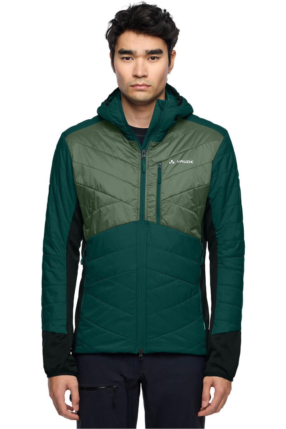 Vaude chaqueta outdoor hombre Men s Sesvenna Jacket IV vista detalle