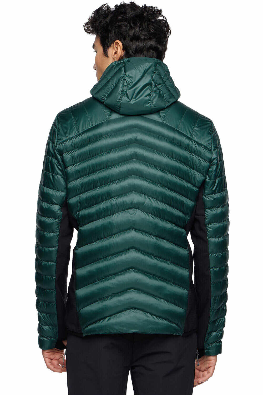 Vaude chaqueta outdoor hombre Men's Sesvenna Pro Jacket II vista trasera