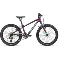 Orbea bicicleta niño MX 20 TEAM vista frontal