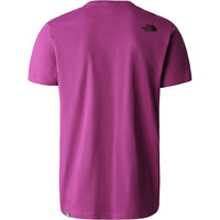 The North Face camiseta manga corta hombre M S/S WOODCUT DOME TEE vista trasera