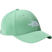 The North Face visera lona RECYCLED 66 CLASSIC HAT vista frontal