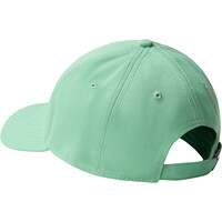 The North Face visera lona RECYCLED 66 CLASSIC HAT 01
