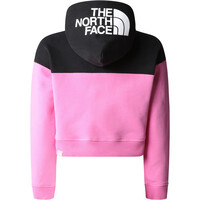 The North Face chaqueta outdoor niño G DREW PEAK CROP P/O HOODIE vista trasera