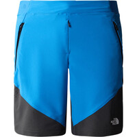 The North Face pantalón corto montaña hombre M CIRCADIAN ALPINE SHORT - EU vista frontal