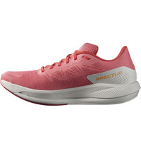 Salomon zapatilla running mujer SPECTUR W puntera