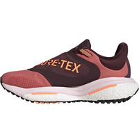 adidas zapatilla running mujer Solar Glide 5 GORE-TEX puntera