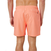 Rip Curl bañador playa hombre DAILY VOLLEY vista trasera