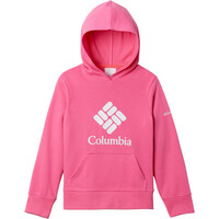 Columbia camiseta montaña manga larga niño Columbia Trek French Terry Hoodie vista frontal