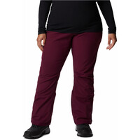 Columbia pantalones esquí mujer Roffee Ridge IV Pant vista frontal