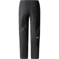 The North Face pantalón montaña hombre M DIABLO REG TAPERED PANT vista trasera