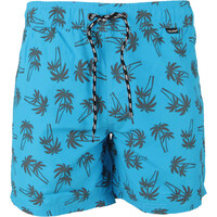 Blend bañador playa hombre SWIMWEAR PALMS vista frontal