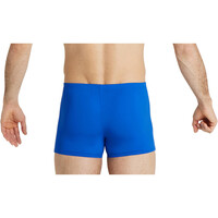 Arena bañador natación hombre TEAM SWIM SHORT vista trasera