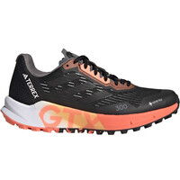 adidas zapatillas trail mujer Terrex Agravic Flow 2.0 GORE-TEX Trail Running lateral exterior