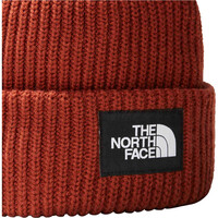 The North Face gorros montaña SALTY DOG LINED BEANIE 01